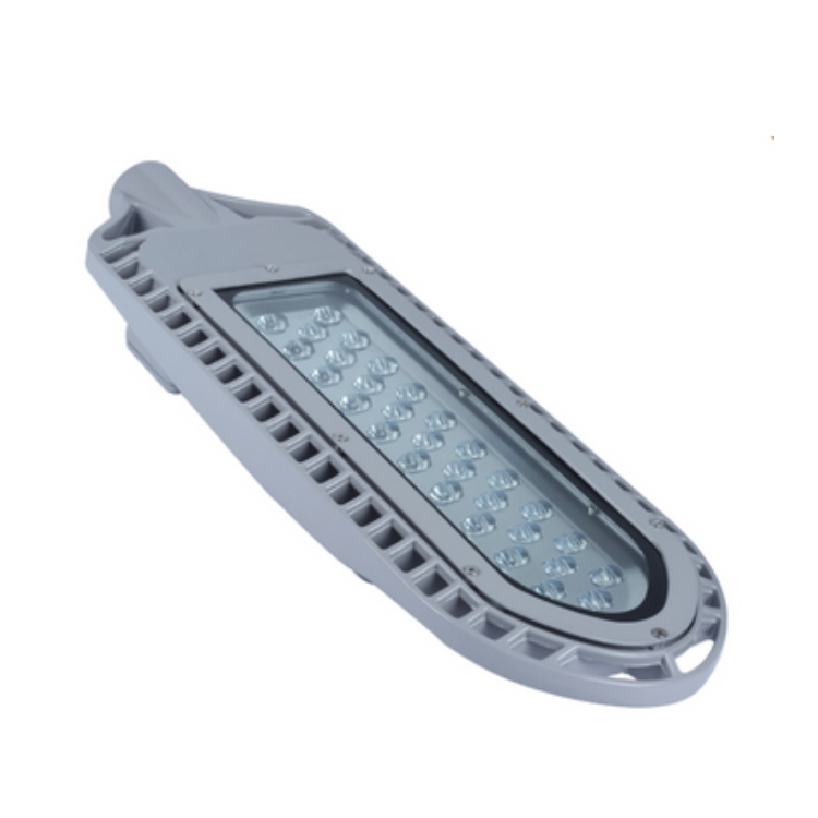 LED市电路灯 LS-613