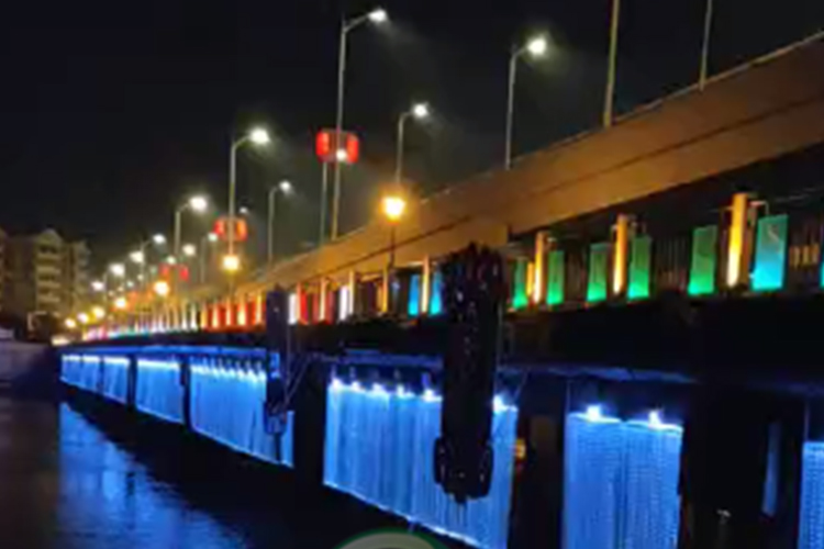 光纤帘大桥亮化